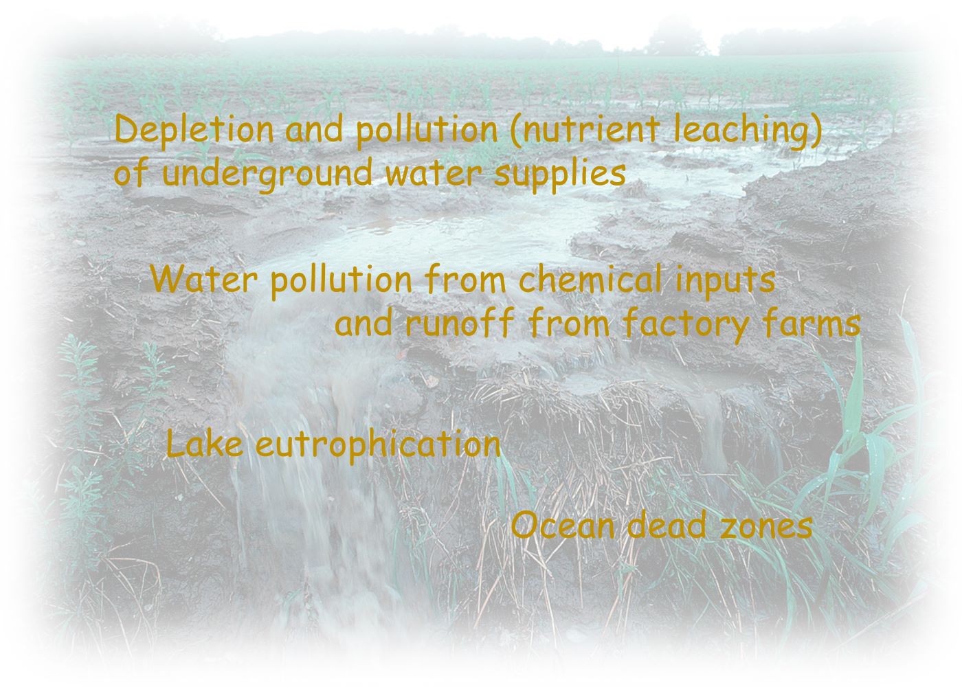 Water pollution